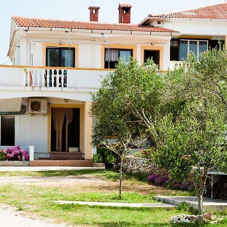 Apartments Sanja Povljana Zewnętrze zdjęcie